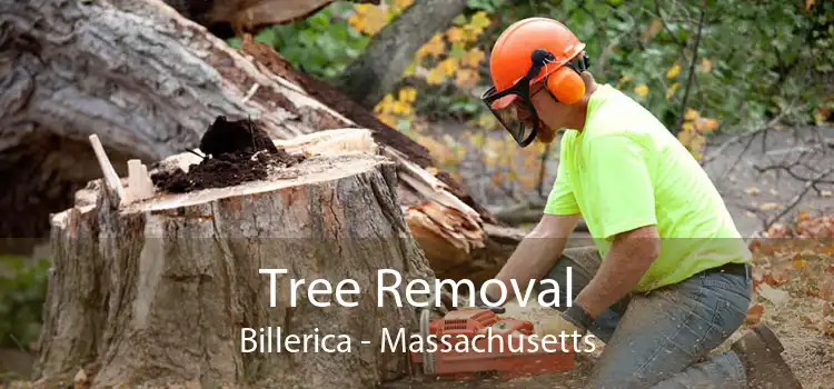 Tree Removal Billerica - Massachusetts