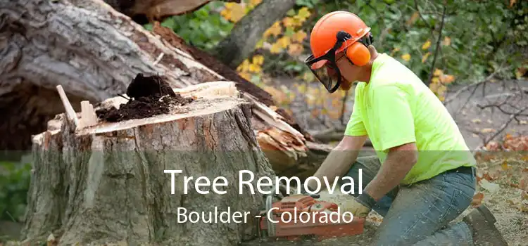 Tree Removal Boulder - Colorado