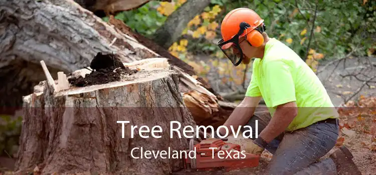 Tree Removal Cleveland - Texas