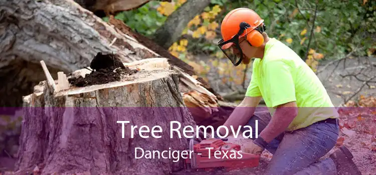 Tree Removal Danciger - Texas