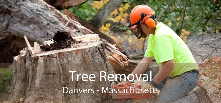 Tree Removal Danvers - Massachusetts