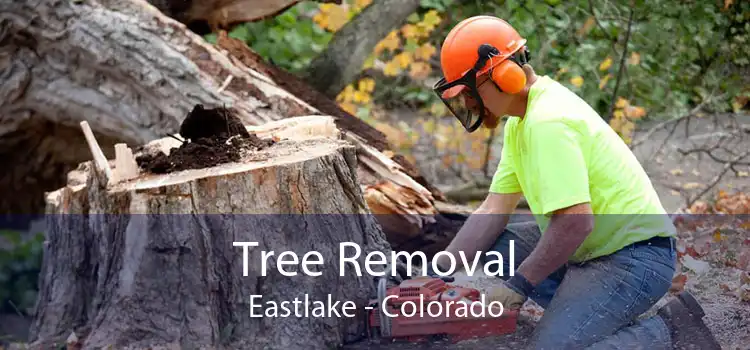 Tree Removal Eastlake - Colorado