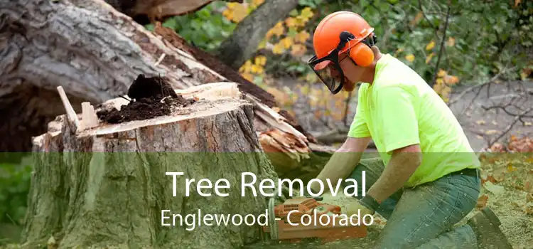 Tree Removal Englewood - Colorado