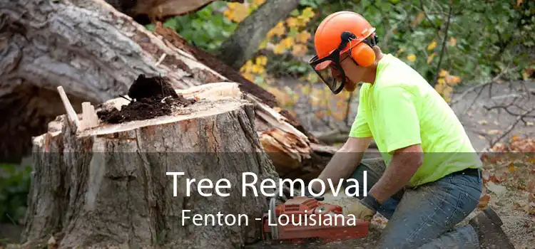 Tree Removal Fenton - Louisiana