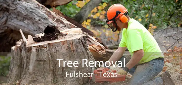 Tree Removal Fulshear - Texas