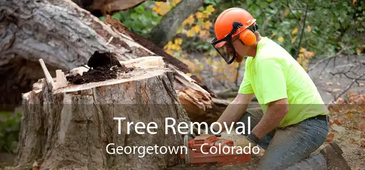 Tree Removal Georgetown - Colorado