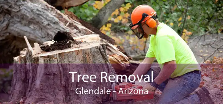 Tree Removal Glendale - Arizona