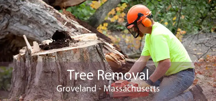 Tree Removal Groveland - Massachusetts