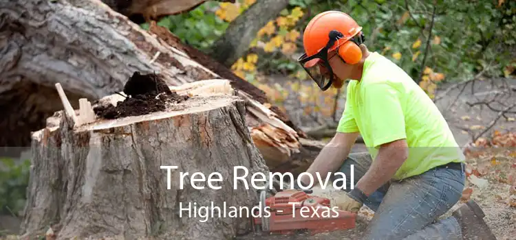 Tree Removal Highlands - Texas