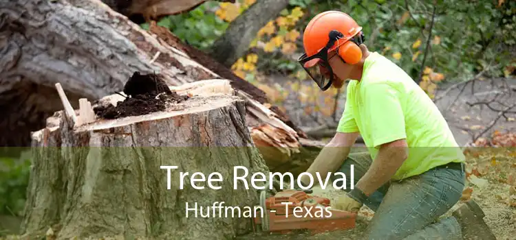 Tree Removal Huffman - Texas