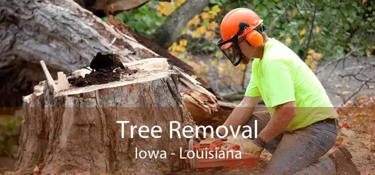 Tree Removal Iowa - Louisiana