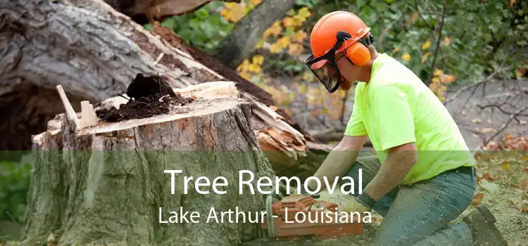 Tree Removal Lake Arthur - Louisiana