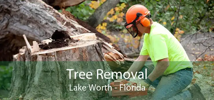 Tree Removal Lake Worth - Florida