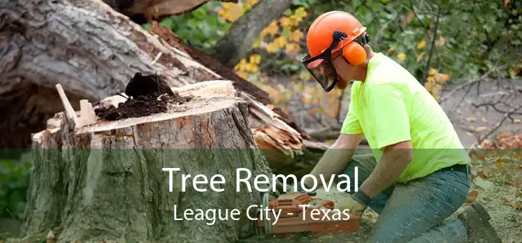 Tree Removal League City - Texas