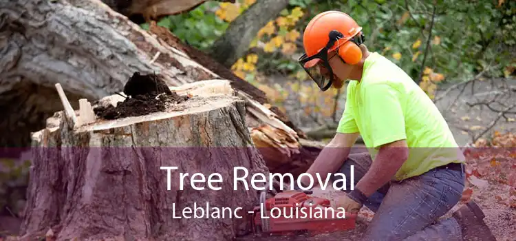 Tree Removal Leblanc - Louisiana