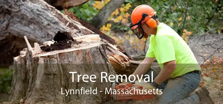 Tree Removal Lynnfield - Massachusetts