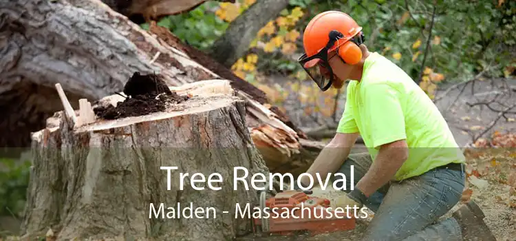 Tree Removal Malden - Massachusetts