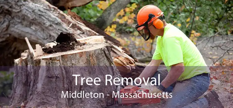 Tree Removal Middleton - Massachusetts