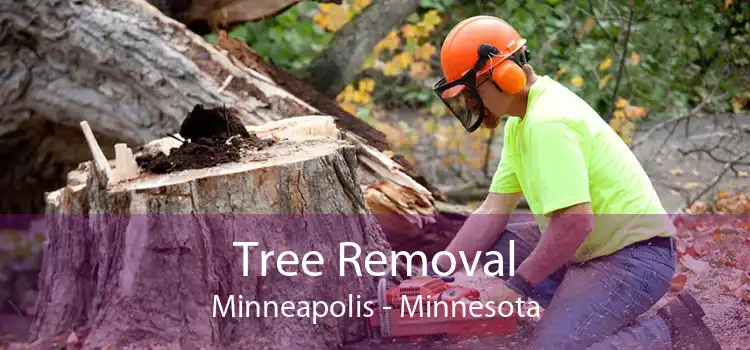 Tree Removal Minneapolis - Minnesota