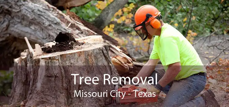 Tree Removal Missouri City - Texas