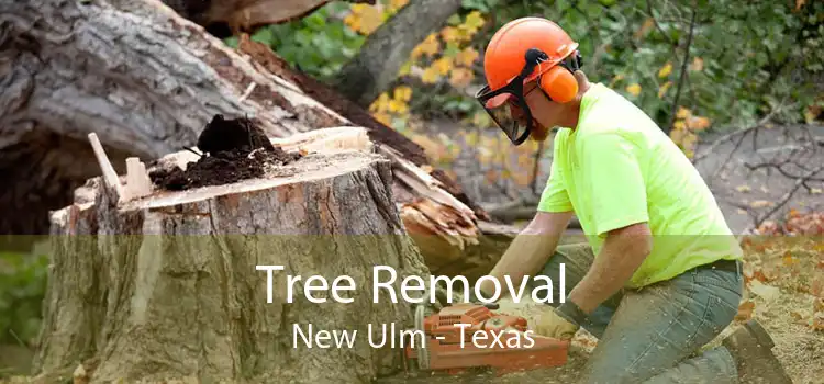 Tree Removal New Ulm - Texas