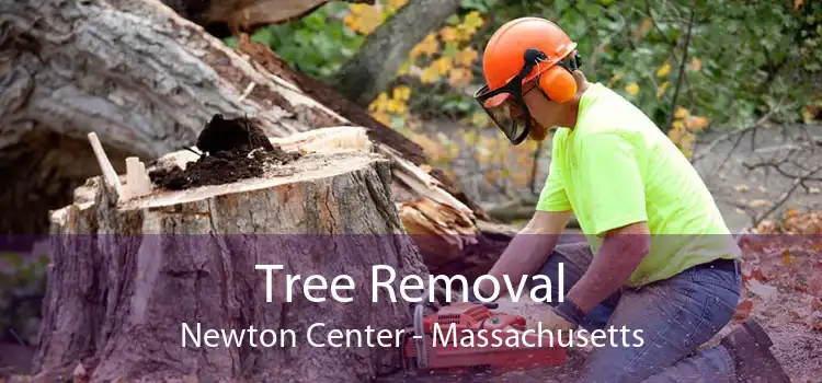 Tree Removal Newton Center - Massachusetts