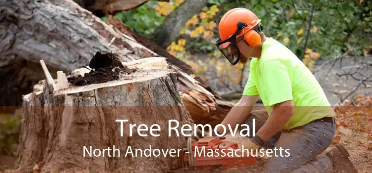 Tree Removal North Andover - Massachusetts