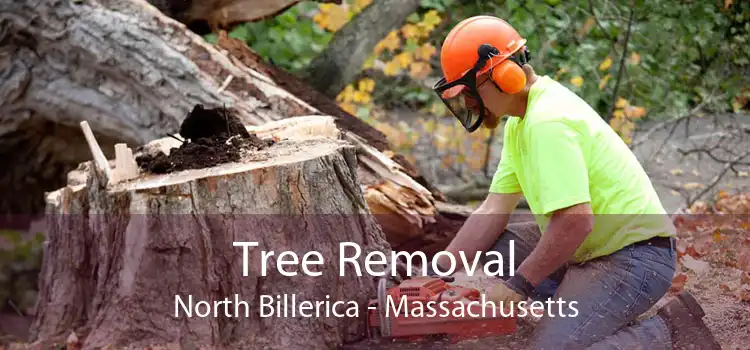 Tree Removal North Billerica - Massachusetts