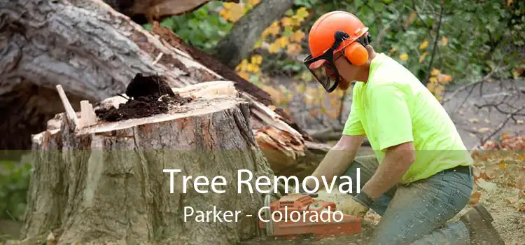 Tree Removal Parker - Colorado