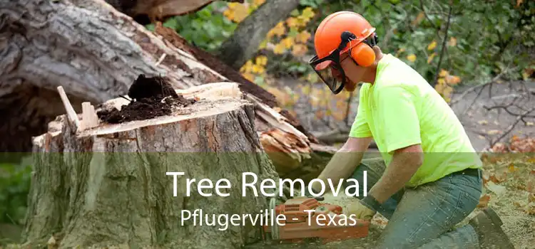 Tree Removal Pflugerville - Texas