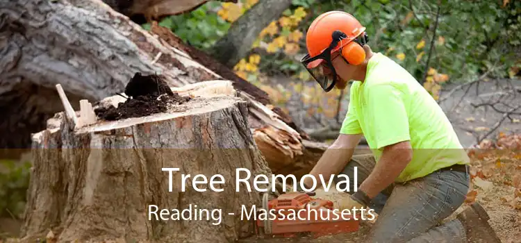 Tree Removal Reading - Massachusetts