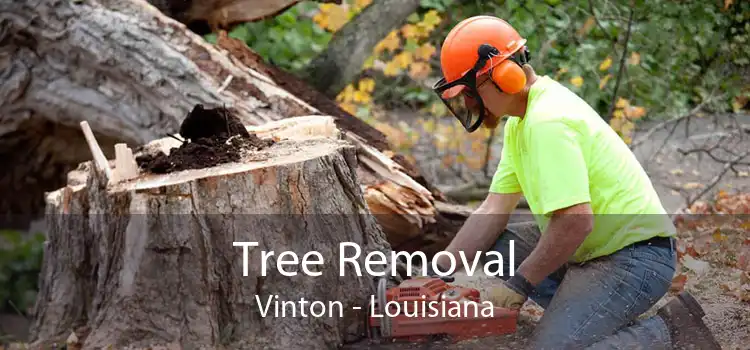 Tree Removal Vinton - Louisiana