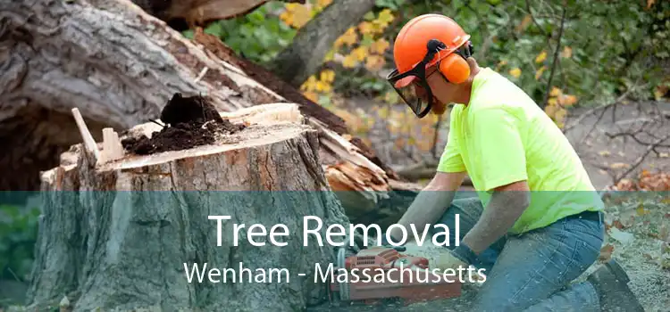 Tree Removal Wenham - Massachusetts