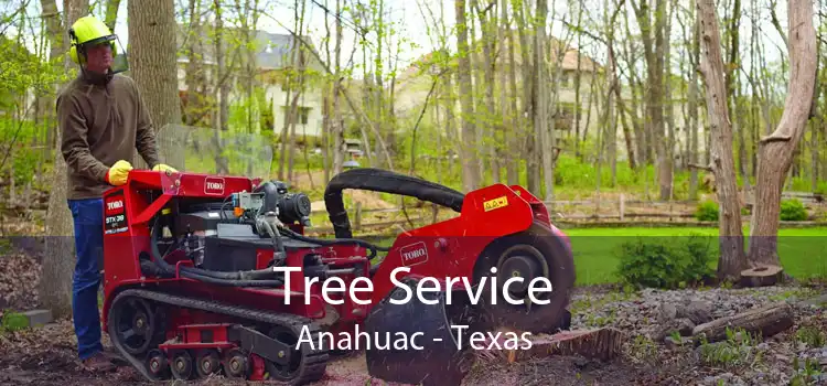 Tree Service Anahuac - Texas