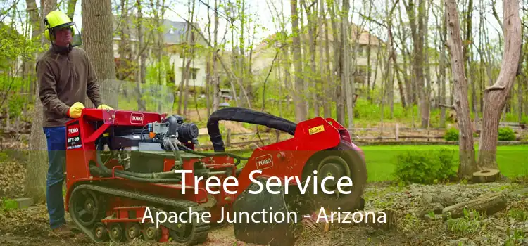 Tree Service Apache Junction - Arizona