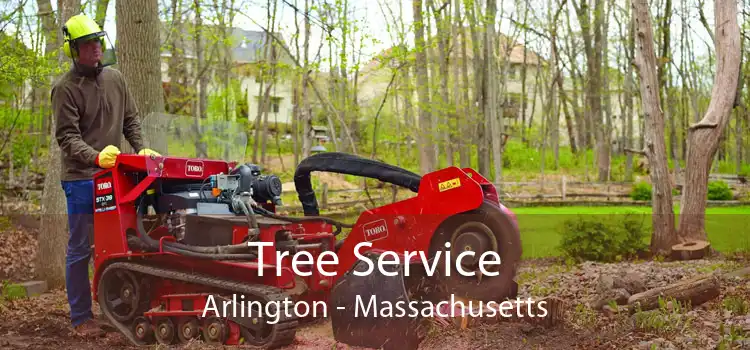 Tree Service Arlington - Massachusetts