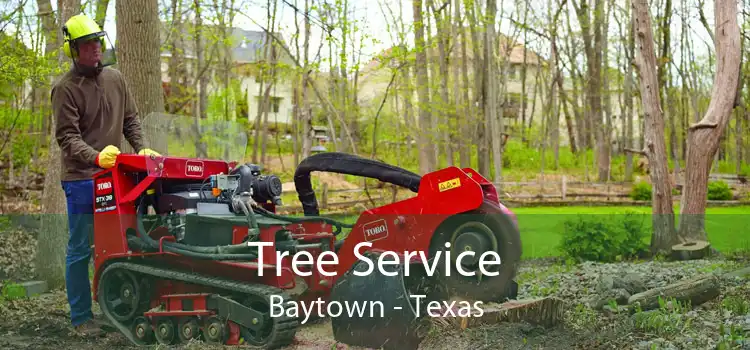 Tree Service Baytown - Texas