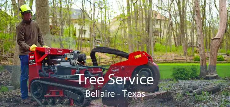 Tree Service Bellaire - Texas