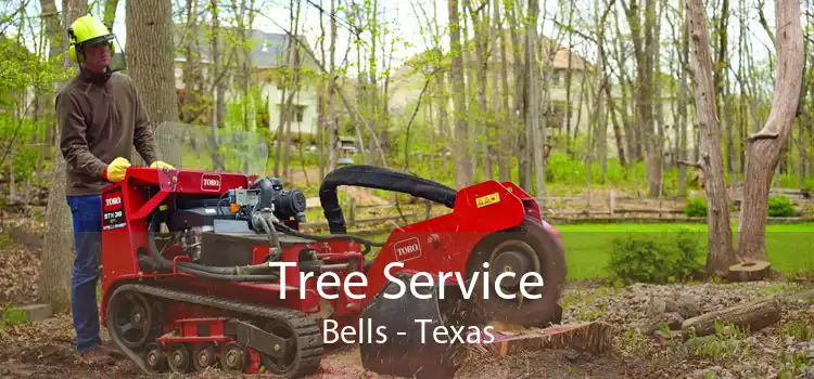 Tree Service Bells - Texas