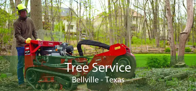 Tree Service Bellville - Texas