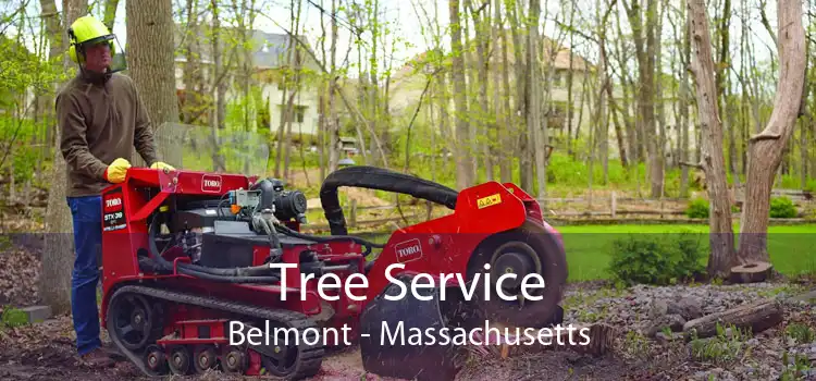 Tree Service Belmont - Massachusetts