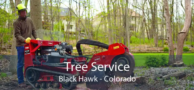 Tree Service Black Hawk - Colorado