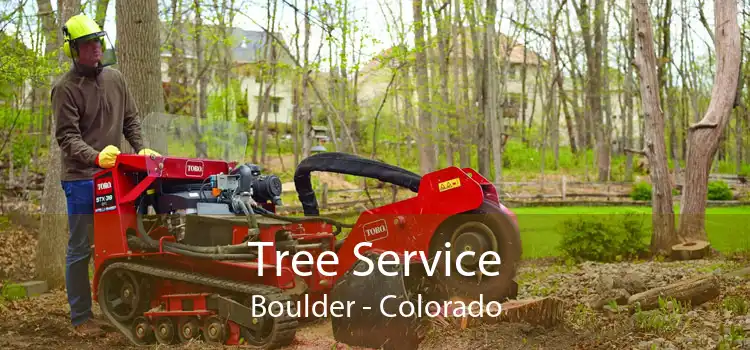 Tree Service Boulder - Colorado