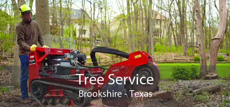 Tree Service Brookshire - Texas