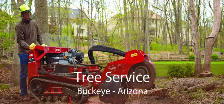 Tree Service Buckeye - Arizona