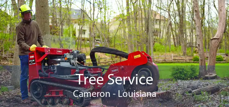 Tree Service Cameron - Louisiana