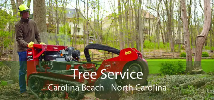 Tree Service Carolina Beach - North Carolina