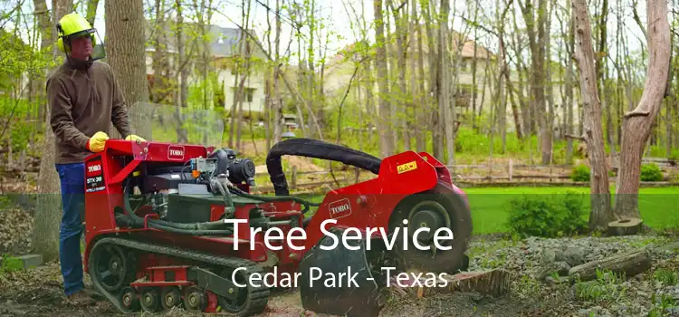 Tree Service Cedar Park - Texas