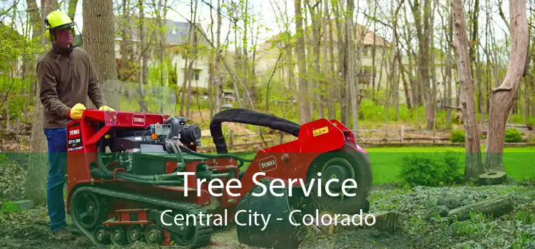 Tree Service Central City - Colorado