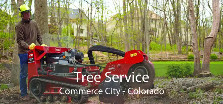 Tree Service Commerce City - Colorado